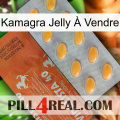 Kamagra Jelly À Vendre 43